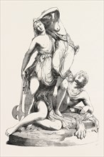 "THESEUS AND THE AMAZONS" BY T. ENGEL