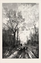 SHEEP ON THE HOMEWARD WAY, 1893 engraving