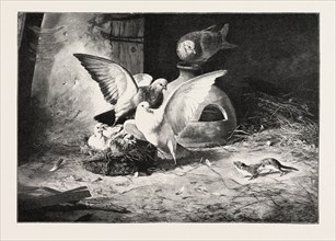 AN UNWELCOME VISITOR, BY JIMENEZ, 1893 engraving