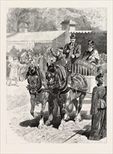 MAY-DAY: THE CART-HORSE PARADE, PRIZE-WINNERS, 1892 engraving