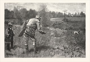GUN SHY DRAWN A. B. FROST, engraving 1880, us, usa