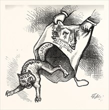 MAIN(E) PRIZE. Democrats had let it, engraving 1880, US, USA, POLITICS, POLITICAL, POLITIC,