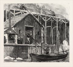 THE NEWFOUNDLAND FISHERIES QUESTION: BRITISH FISHING ROOM ON THE FRENCH SHORE, CANADA, 1890