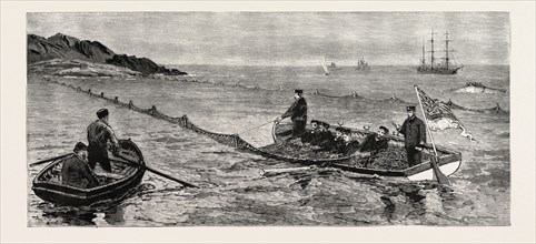 THE NEWFOUNDLAND FISHERIES QUESTION: BRITISH MAN OF WAR REMOVING AND CONFISCATING NEWFOUNDLAND