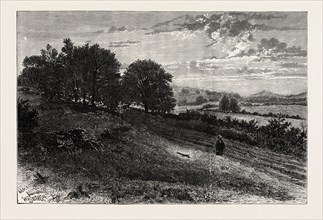 NEAR EVERSHED'S ROUGH, SCENE OF THE FATAL ACCIDENT TO THE LORD BISHOP OF WINCHESTER, 1890 engraving