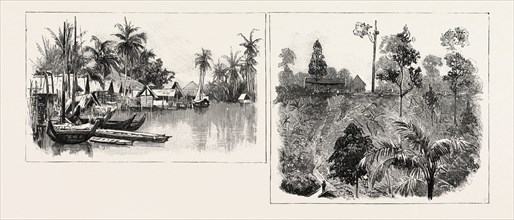 THE GROWING CROP, MALAY NATIVE VILLAGE, ON THE EAST COAST OF SUMATRA, INDONESIA, 1890 engraving