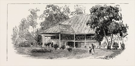 THE CULTIVATION OF TOBACCO IN SUMATRA, INDONESIA: A PLANTER'S HOUSE, 1890 engraving