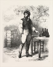 A glass of wine in the garden, the count of monte christo, caderousse, alexandre Dumas, 1844,