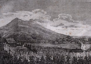 Tarczal vineyards, Trentino , Italy, 19th century engraving, liszt gourmet archive
