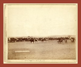 Beef issue to Indians. Taken at Pine Ridge, Jan. 1891, John C. H. Grabill was an american