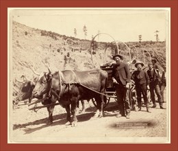 Gold Fever. Prospectors going to the new Gold Field, John C. H. Grabill was an american