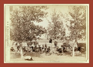 Dinner scene, John C. H. Grabill was an american photographer. In 1886 he opened his first