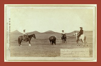 Cowboys, roping a buffalo on the plains, John C. H. Grabill was an american photographer. In 1886