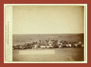 Round-up scenes on Belle Fouche [sic] in 1887, John C. H. Grabill was an american photographer. In