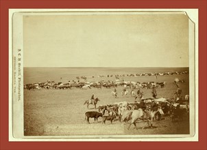 Round-up scenes on Belle Fouche [sic] in 1887, John C. H. Grabill was an american photographer. In