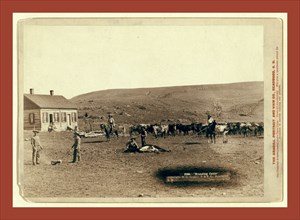 Branding cattle, John C. H. Grabill was an american photographer. In 1886 he opened his first