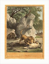 A.J. de Fehrt after Jean Baptiste Oudry (French, born 1723 ), Le lion (The Lion), published 1759,