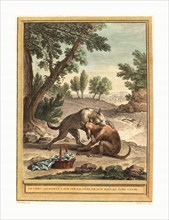 Martin Marvie after Jean Baptiste Oudry (French, 1713  1813 ), Le chien qui porte a son cou le