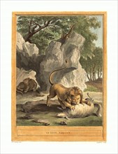 A.-J. de Fehrt after Jean-Baptiste Oudry (French, born 1723 ), Le lion (The Lion), published 1759,