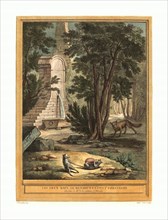Laurent Cars after Jean-Baptiste Oudry (French, 1699 - 1771 ), Les deux rats, le renard et l'oeuf