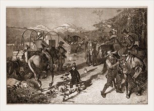AMONG THE COW-BOYS-BREAKING CAMP.-DRAWN BY W. A. ROGERS., 1880, 19th century engraving, USA,