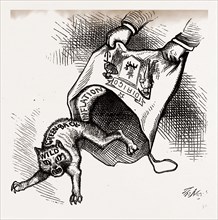 MAIN(E) PRIZE. The Democrats had to let it out, 1880, USA, America, 19th century engraving
