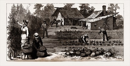 THE ENGLISH GARDEN, Scenes in Rugby, the English Colony in Tennesse, 1880, USA, America, 19th