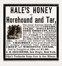 Hale's Honey or Horehound and Tar, 1880, 19th century engraving, USA, America