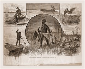 Cruelties practiced on Fish and Fowl, 1880, 19th century engraving, USA, America