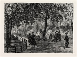 THE FLOWER WALKS, KENSINGTON GARDENS. London, UK, 19th century engraving