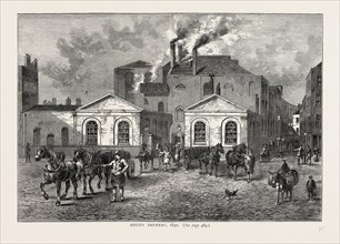 Meux's Brewery, 1830, London, UK, 19th century engraving