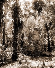 Chimneys, Ormond hammock, The, Jackson, William Henry, 1843-1942, Chimneys, Palms, Ruins, United