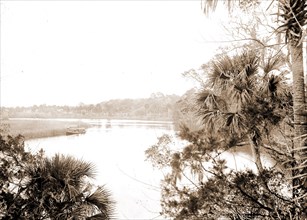 On the Tomoka, Jackson, William Henry, 1843-1942, Rivers, United States, Florida, Tomoka River,