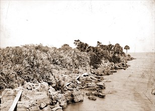 Coquina shore line, Indian River, Jackson, William Henry, 1843-1942, Waterfronts, Bays, United