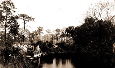 Sebastian Creek, Jackson, William Henry, 1843-1942, Steamboats, Streams, United States, Florida,