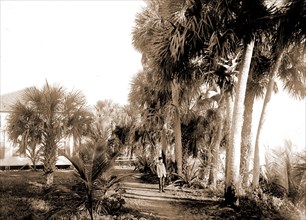 Hotel at Eden, Indian River, Jackson, William Henry, 1843-1942, Hotels, Bays, United States,