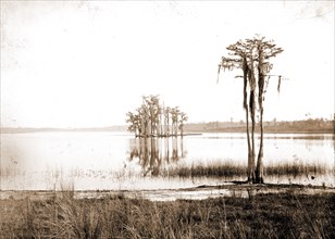 Lake Louise near Seville, Fla, Jackson, William Henry, 1843-1942, Lakes & ponds, United States,