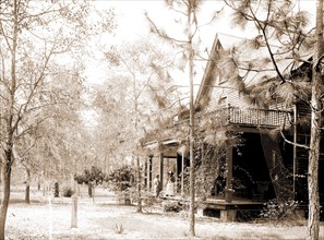 Florida home, Seville, Fla, A, Jackson, William Henry, 1843-1942, Dwellings, United States,