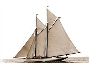 Grayling, Grayling (Schooner), Yachts, 1890