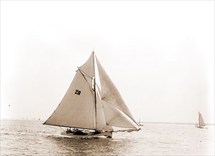 Polly, Polly (Yacht), Yachts, 1891