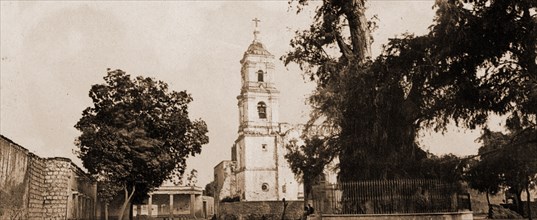 The tree of Noche Triste, Mexico, 1884