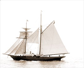Golden Fleece, Satanella (Steam yacht), Steam yachts, 1891