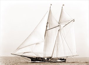 Adrienne, Adrienne (Schooner), Yachts, 1883