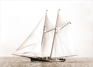 Adrienne, Adrienne (Schooner), Yachts, 1883