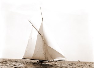 Saladin, Saladin (Yacht), Yachts, 1890