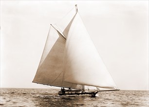 Chieftain, Chieftain (Yacht), Yachts, 1880