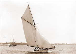 Tigress, Tigress (Yacht), Yachts, 1892