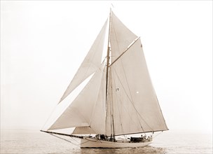 Daphne, Daphne (Yacht), Yachts, 1892