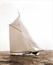 Wasp, Wasp (Sloop), Yachts, 1892