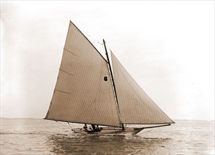 Tadpole, Tadpole (Yacht), Yachts, 1892